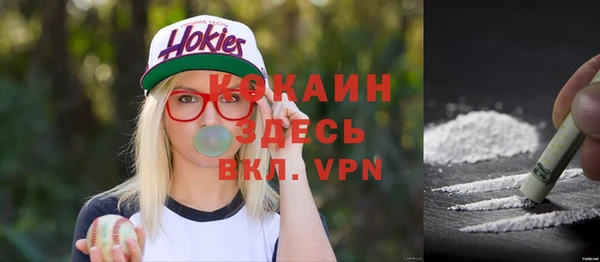 соль ск Переславль-Залесский