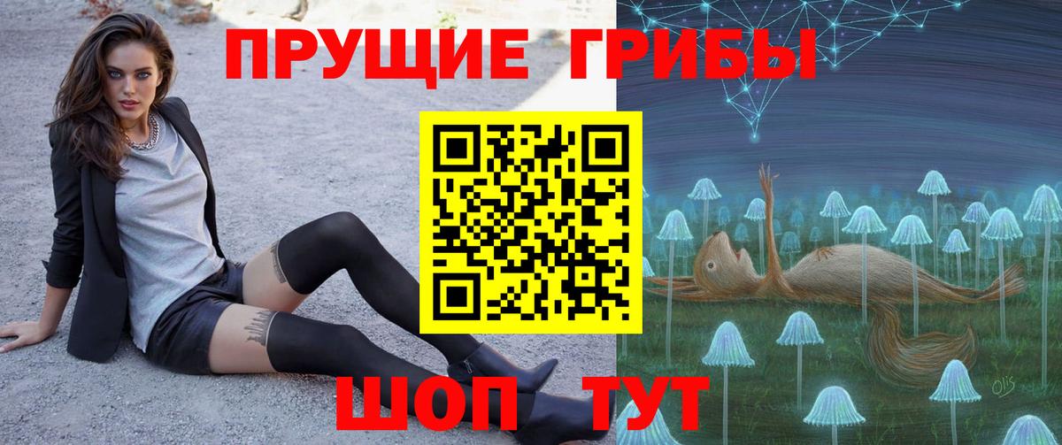 Выборг  Галлюциногенные грибы прущие грибы  Вход с VPN 