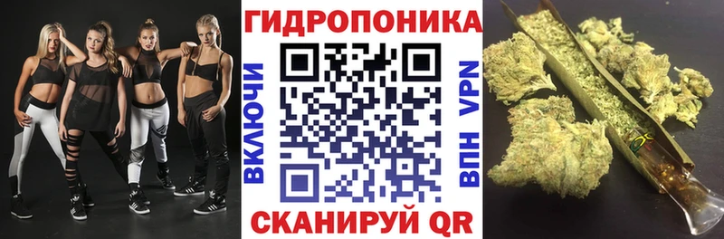 Канабис SATIVA & INDICA  блэк спрут ТОР  Выборг 